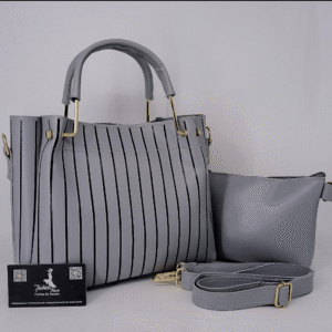 Normal Size Black lining 2 pcs Hand Bag Grey Color