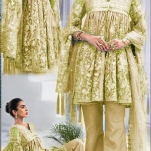 Akbar aslam party wear