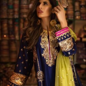 BISMA KHAN FANCY PARTY WEAR